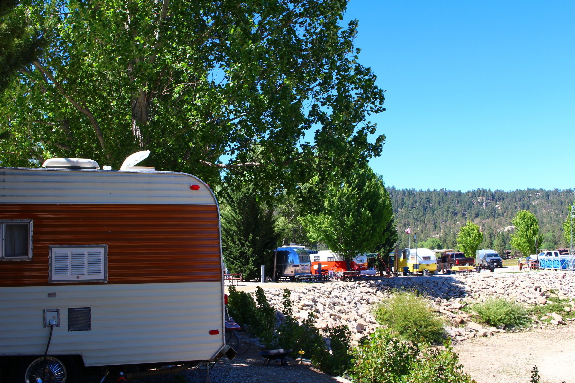 Vintage trailers parked along the lake shore at Holloway's RV Park